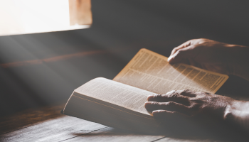 Tu és o rei dos judeus?